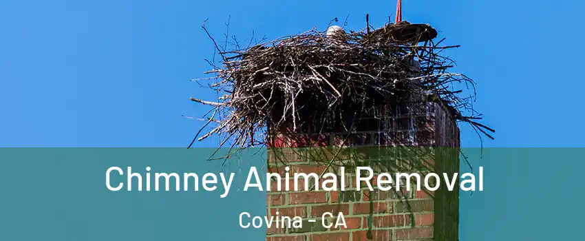 Chimney Animal Removal Covina - CA