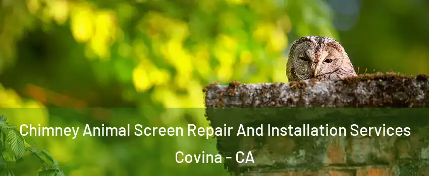  Chimney Animal Screen Repair And Installation Services Covina - CA