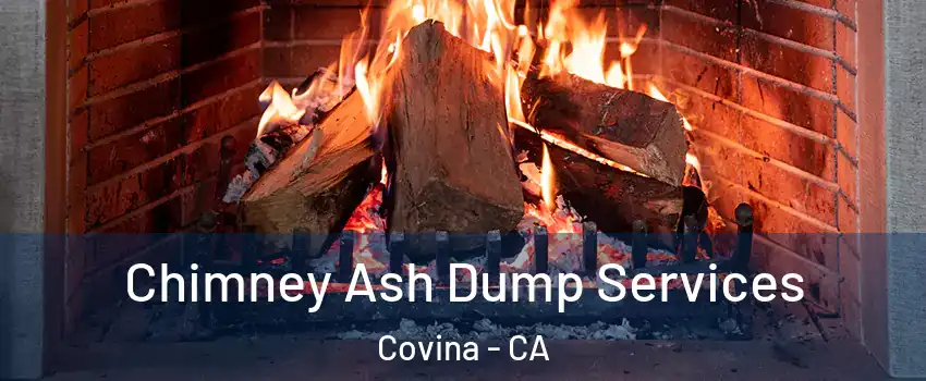  Chimney Ash Dump Services Covina - CA