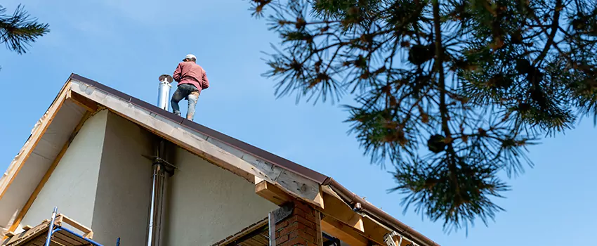 Birds Removal Contractors from Chimney in Covina, CA