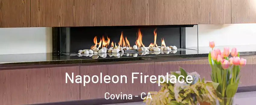  Napoleon Fireplace Covina - CA